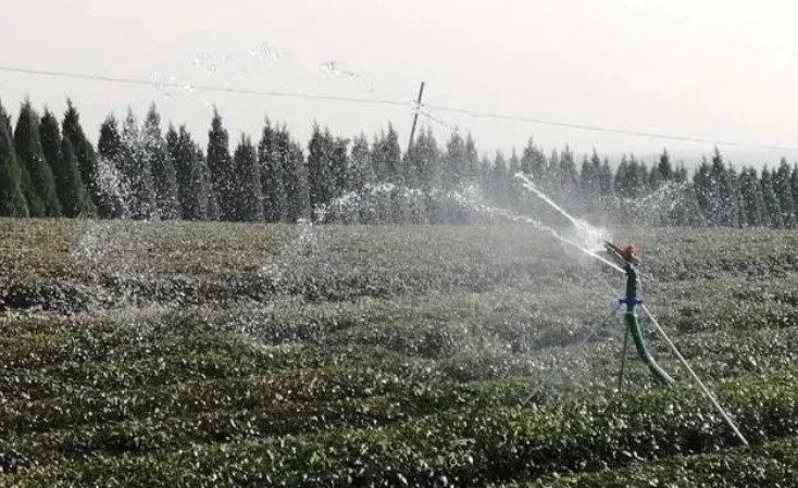 赞！无人机管理茶园，开启茶园智能化新模式